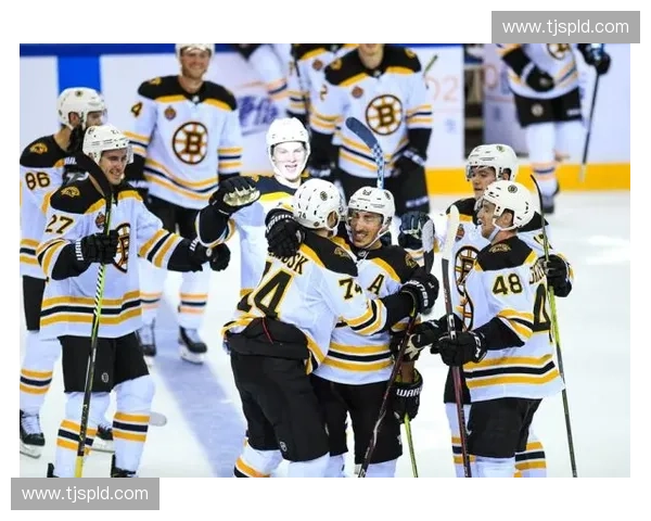 北美冰球联盟NHL实时直播赛程分析与精彩看点全指南冰迷必看